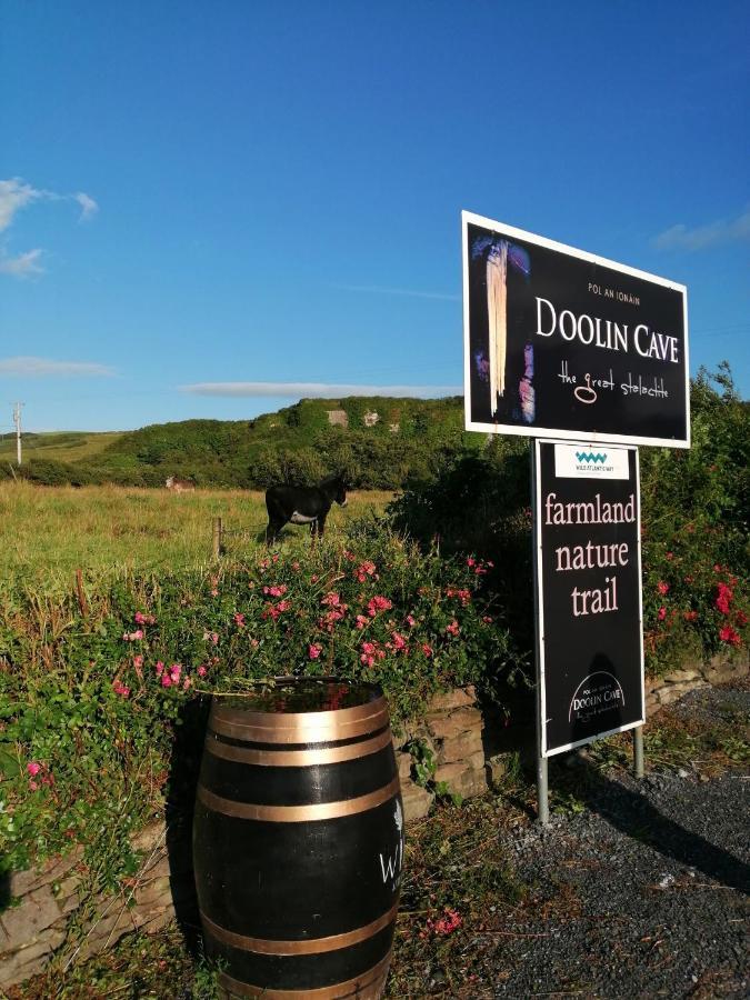 Puffin Rooms Lisdoonvarna Eksteriør billede