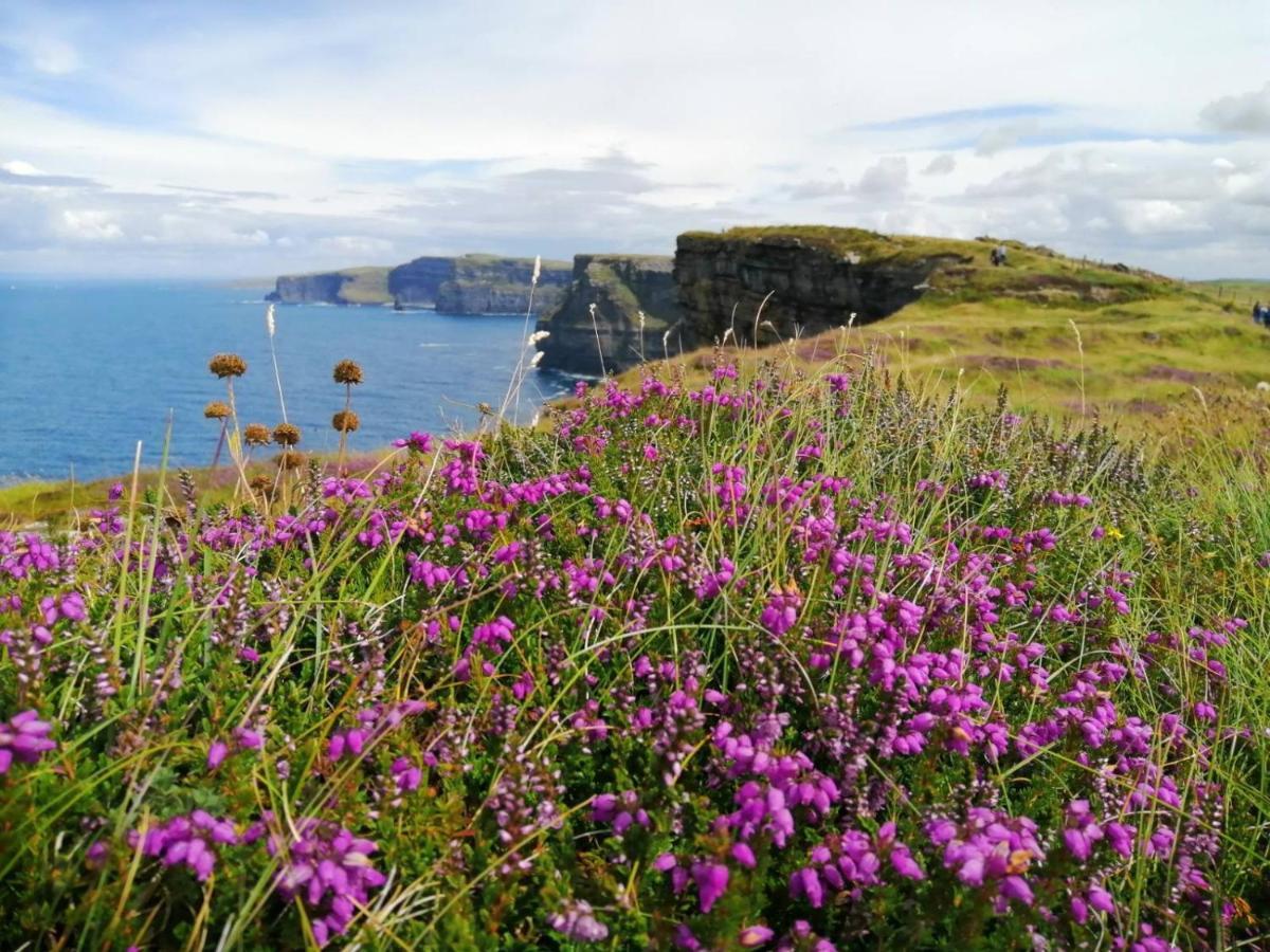Puffin Rooms Lisdoonvarna Eksteriør billede