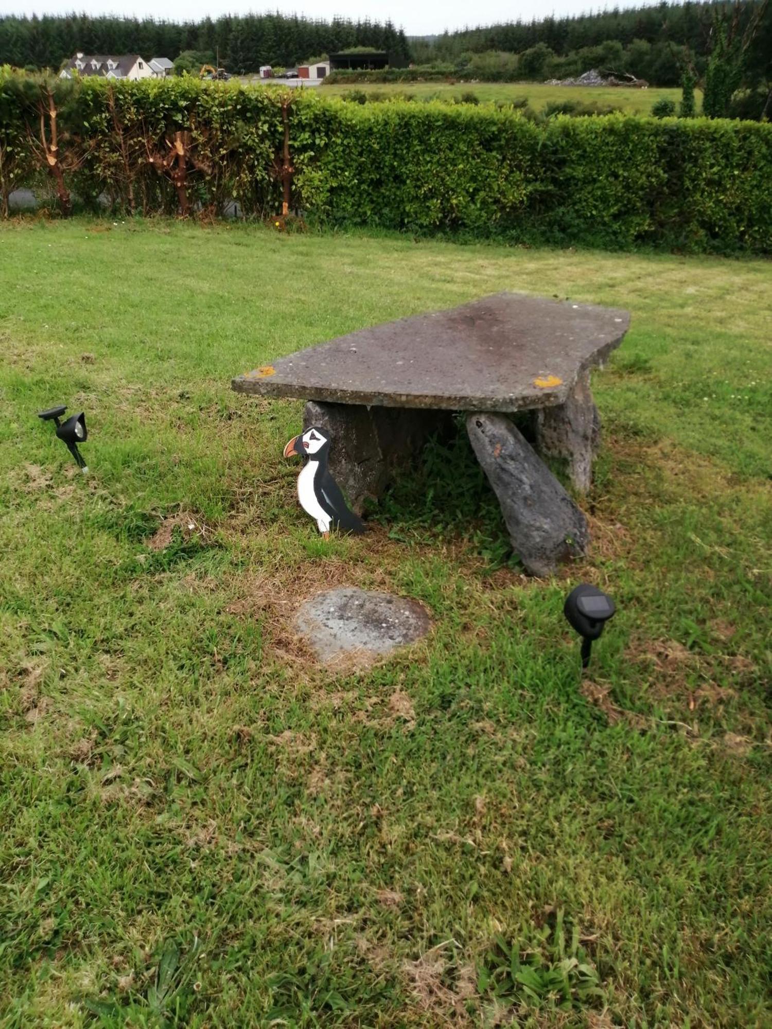 Puffin Rooms Lisdoonvarna Eksteriør billede